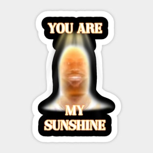 you are my sunshine my only sunshine lebron james Sticker